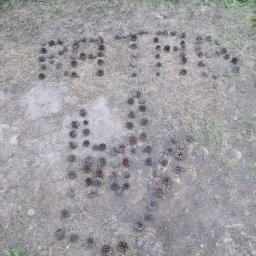 Ratab 2012 – Stříbrná Skalice